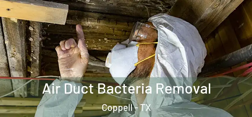 Air Duct Bacteria Removal Coppell - TX