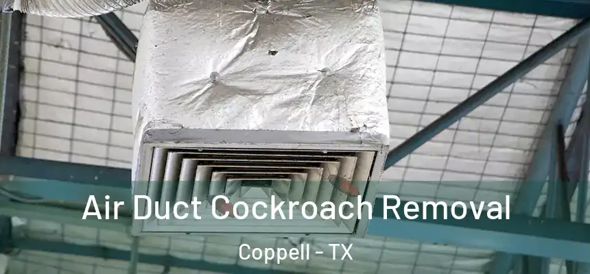 Air Duct Cockroach Removal Coppell - TX