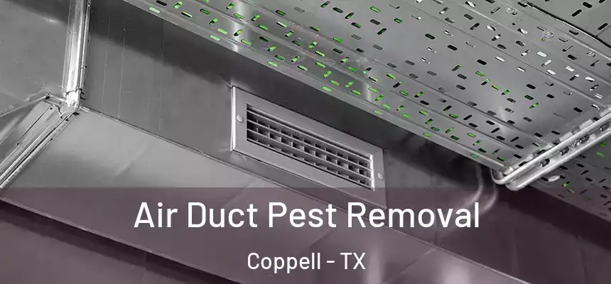 Air Duct Pest Removal Coppell - TX