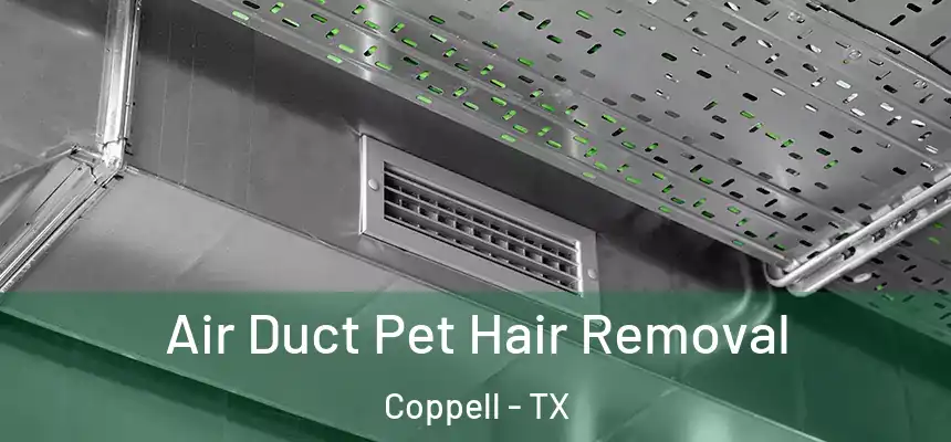  Air Duct Pet Hair Removal Coppell - TX