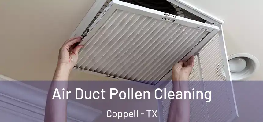 Air Duct Pollen Cleaning Coppell - TX