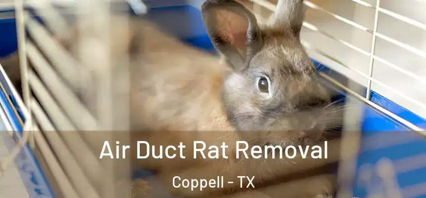  Air Duct Rat Removal Coppell - TX