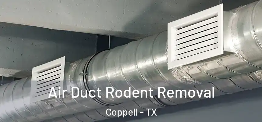 Air Duct Rodent Removal Coppell - TX