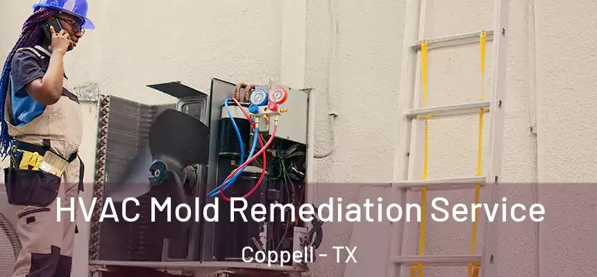  HVAC Mold Remediation Service Coppell - TX