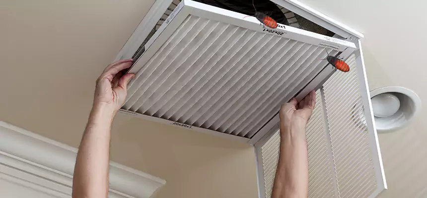 Preventive Cockroach-Proofing for Ducts in Coppell
