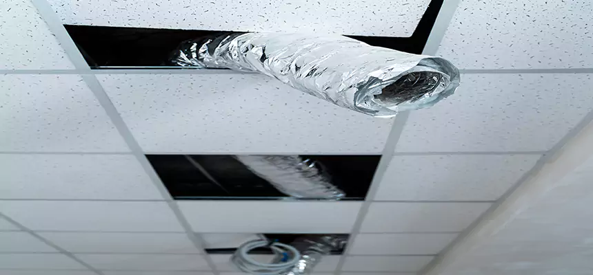 Affordable HVAC Sanitizing After Pest Removal in Coppell