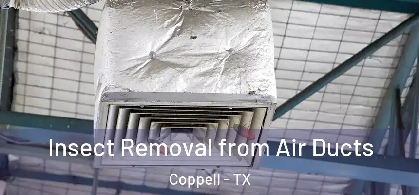  Insect Removal from Air Ducts Coppell - TX