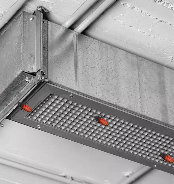 About Air Duct Cockroach Removal in Coppell, TX