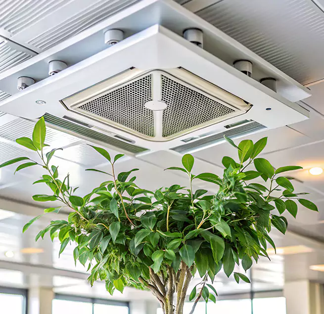 Why Homeowners & Businesses Trust Us in Coppell, TX