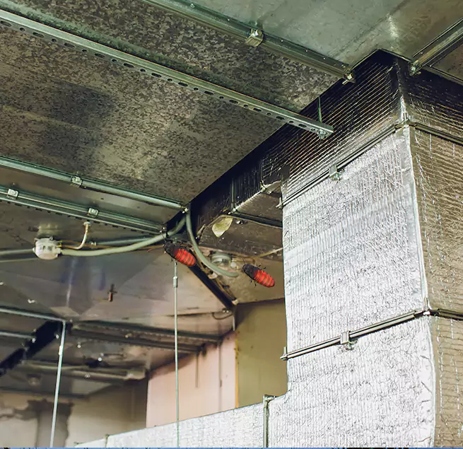 Why Homeowners & Businesses Trust Us Coppell, TX?