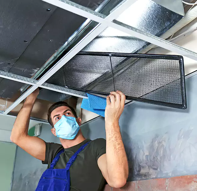 Why Homeowners Businesses Trust Us in Coppell, TX